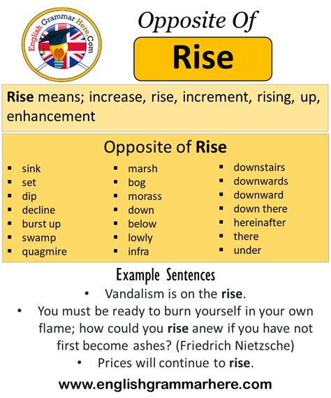 1 Synonyms & Antonyms for AROSE .
